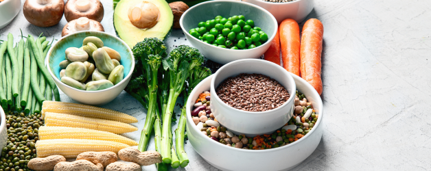 The Power of Plant-Based Protein: A Comprehensive Guide
