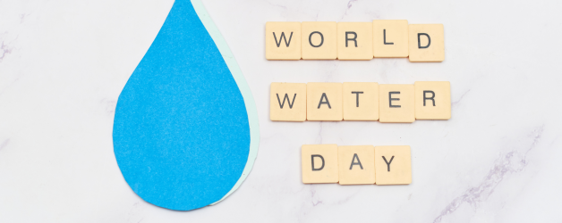 World Water Day: Embracing an Eco-Friendly Lifestyle to Conserve Our Precious Resource