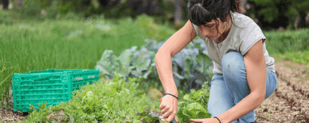Cultivating Sustainability: Zero Waste Gardening Techniques