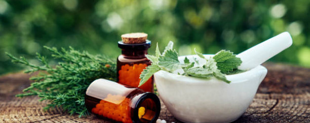 The Timeless Elegance of Homeopathic Medicine in Holistic Healing